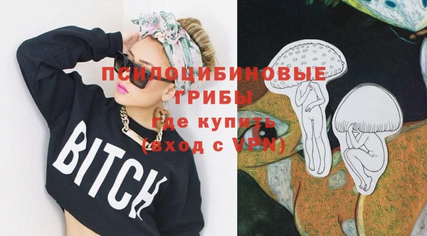 бошки Горняк