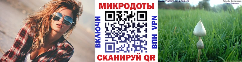 Псилоцибиновые грибы GOLDEN TEACHER  Игарка 